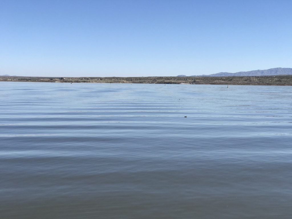 view of alamo lake's expansive waters