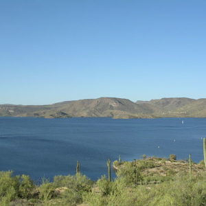a view of lake pleasant featuring a saguaro cactus studded shoreline